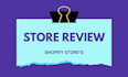 audit your store, review shopify store and make proper suggestion