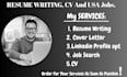 write a professional resume and CV