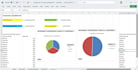 do data entry, data cleaning, dashboard and pivot tables