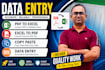 do excel data entry, copy paste, PDF to excel, excel to PDF