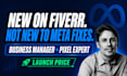 provide expert and efficient meta business manager and meta pixel fixes