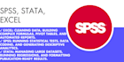 handle spss, stata, excel and microsoft project