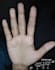 palmistry and numerology futter predicter