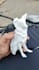 provide high quality 3d printing service from your custom models and shipping