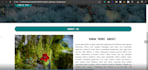 do professional web design and redesign website