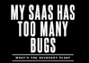 fix bugs and stabilize your saas software application