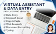 be your virtual assistant and data entry clerk