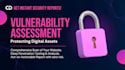 perform website vulnerability assessment and penetration testing