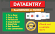 do data cleaning excel, data entry