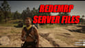 develop redm scripts and setup a full redm roleplay server