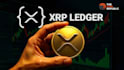develop solana volume bot, copy trading bot, xrpl bot, polygon bot, telegram bot