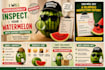 professionally inspect your watermelon with expert precision