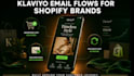 setup shopify klaviyo email marketing flows klaviyo flows for ecommerce brands