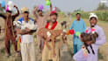 wish african dance happy birthday video and african happy birthday