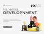 build a professional machine learning model development