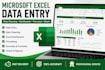 do microsoft ecxel data entry and dashboard reports