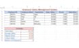 do accurate microsoft excel data entry