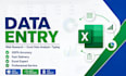 do accurate data entry, web research, exceldata analysis, and typing