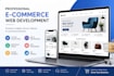 create a professional e commerce website