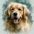 draw realistic pet dog, cat portrait