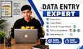 do accurate data entry, web research, microsoft excel, PDF conversion, co