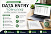do accurate data entry ,microsoft excel and word tasks