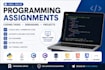 review, debug, and optimize your code professionally