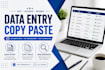 do accurate data entry, typing and copy paste work