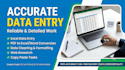 do accurate data entry,financial data cleaning,and excel spreadsheet