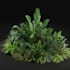 create realistic 3d plants  trees in speedtree for games