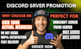 promote your gaming discord server, fivem, rust, dayz, minecraft promotion