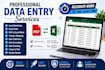do accurate data entry excel and pdf coversion
