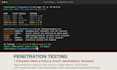 do a professional penetration test and security assesment