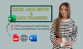 do accurate data entry and data transfer into excel