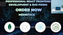 fix react js bugs, develop modern websites and frontend UI
