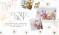 do professional canva flyers,brochures and pamphlets