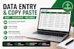do accurate data entry, copy paste and web research