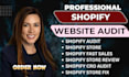 audit your shopify store for security risk and vulnerabilities