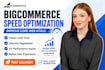 optimize your bigcommerce store speed and fix page speed issues