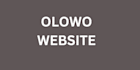 design olowo website that functions