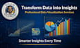 create professional data visualizations