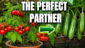 design eyecatching gardening video thumbnails