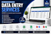 do accurate data entry, copy paste, web research, and excel