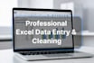do professional excel data entry, data cleaning, and spreadsheet work