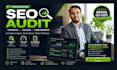 do professional website SEO audit with technical analysis