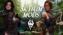 fix skyrim crashes, optimize load order, and build a stable modded setup