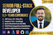 develop or fix your net core angular nopcommerce web