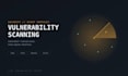 perform a professional vulnerability scan on your website or network