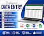 do accurate data entry, web research and excel tasks