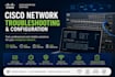 troubleshoot enterprise network issues